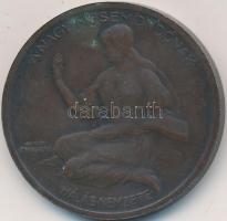 Berán Lajos (1882-1943) 1925. "Jókai Mór - A Nagy mesemondónak hálás nemzete" Br emlékérem...