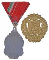 1966. "Vegyi KISZÖV (Kisipari Szövetkezet) 1966. VIII. 20. I" fém díjérem mellszalagon + a...