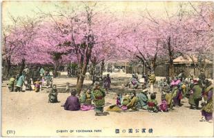 Yokohama, park, cherry tree blossoming, Japanese folklore (fl)