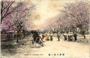 Yokohama, park, cherry tree blossoming, Japanese folklore, rickshaw (fl)