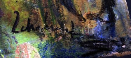 Olvashatatlan jelzéssel: Vidámpark, olaj, karton, 51,5×34,5 cm