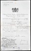 1907 Jubileumi emlékérem kitüntetés adományozó okirata Jekelfalussy Lajos hadügyminiszter aláírásával. / 1907. Arwarding document of the Jubilee medal T:II