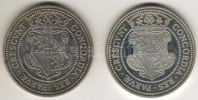 Hollandia 1979. 10Uni Daalders (2x) Ag T:PP