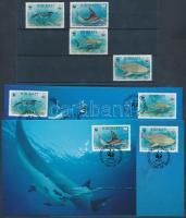 WWF Sea animals set + 4 CM + 4 FDC, WWF Tengeri állatok sor + 4 CM + 4 FDC