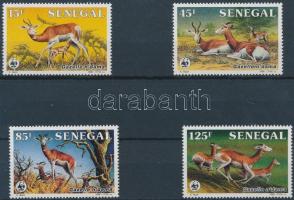 WWF Gazelle set + 4 CM + 4 FDC WWF Dámgazella sor + 4 CM + 4 FDC