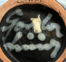 Gorka Lívia (1925-2011): Mázas  festett kerámia váza, hibátlan, jelzett, m: 19,5 cm