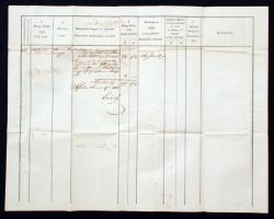 1865 Erdélyi Nagy Fejedelemség Buzás Besenyői birtokra vonatkozólag utólagos kárpótlási határozványt...