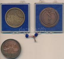 Fritz Mihály (1947-) 1983. "Szegedi Szabadtéri Játékok" Br emlékérem (42,5mm) + Lapis Andr...