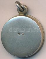 1914. "Pro Patria" zománcozott, jelzett Ag szétnyitható medál (8g/22mm) T:2
Hungary 1914. ...