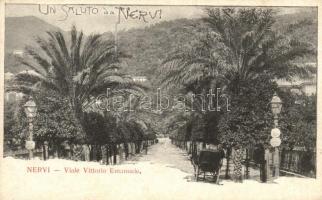 Nervi, Viale Vittorio Emanuele / promenade