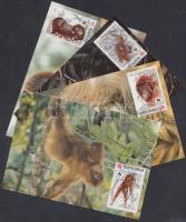 1989 WWF Borneói orángután sor Mi 1291-1294 + 4 CM + 4 FDC-n