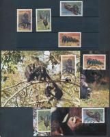 WWF Közönséges csimpánz sor + 4 CM + 4 FDC-n, WWF Common Chimpanzee set + 4 CM + 4 FDC