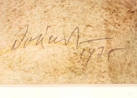 Iványi Ödön (1918-1985): Tavaszi áradás, akvarell, papír, paszpartuban, üvegezett fa keretben, 58,5×...