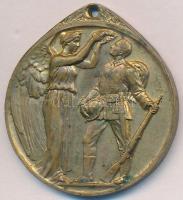 Németország/Weimari Köztársaság 1921. "Német Háborús Emlékérem" aranyozott Br kitüntetés m...