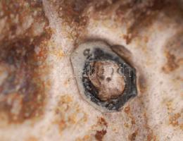 Ezüst (Ag.) levél alakú tálka, poncolt, jelzett, nettó: 65 g., 15×14 cm