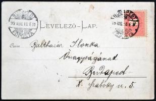 1899 Budapest, Pest, címer, panoramacard, litho (b)
