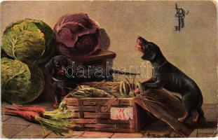 Dachshund dogswith vegetables s: Aug. Müller (EB)