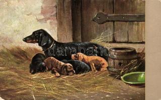 Dachshund dogs family