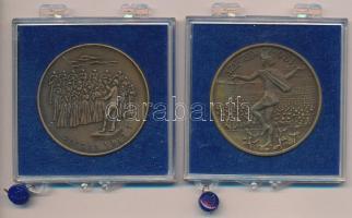 Tóth Sándor (1933-) 1981. "MÉE Szeged / Bartók Béla" Br emlékérem (42,5mm) plombált "...