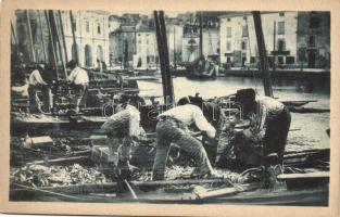 Piran, Pirano; Pescata di sardelle / fishermen, sardines (gluemark)