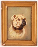 Heyer jelzéssel: Buldog portré, olaj, fa, keretben, 33×23,5 cm