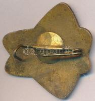 1966. "51. Eszperantó Világkongresszus Budapest" zománcozott fém jelvény T:2 tű sérült
Hun...