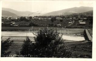 Frasin, Látkép, gyár / view with factory