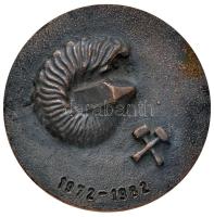 1982. "Ásványgyűjtő Club - Budapest / 1972-1982" fém plakett (63mm) T:2