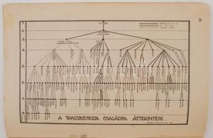 Thirring Gusztávné Waisbecker Irén: Dr. Waisbecker Antal élete és a magyarországi Waisbecker család ...