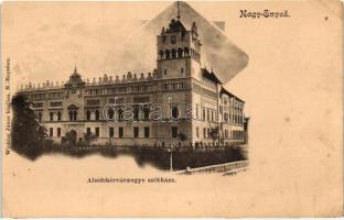 Nagyenyed, Alsófehérvármegye székháza / county hall (r)