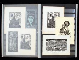 90 db ex librist tartalmazó gyűjtemény, kevés másodpéldánnyal, sok jelzett alkotással jó nevű művész...