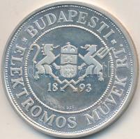 Bognár György (1944-) DN "Budapesti Elektromos Művek Rt. 1893 / A jól végzett munka elismeréséü...