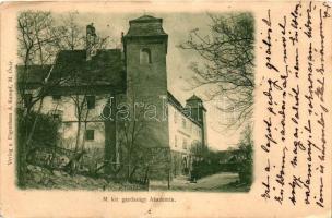 Mosonmagyaróvár, Magyaróvár; Gazdasági akadémia (kis szakadás / small tear)