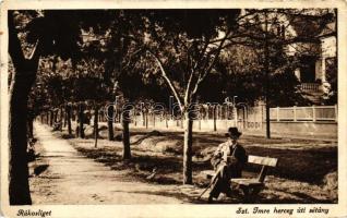 Budapest XVII. Rákosliget, Szent Imre herceg úti sétány (fa)