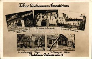 Budakeszi, Tábor Diakonissza Szanatórium, nővérek és házuk, Igazgató lakása (EK)