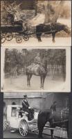 cca 1900-30 Korabeli fotók, Ló és lovas, 4db, cca 9x14cm