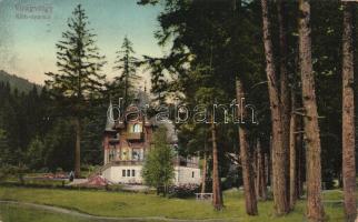 Tátra, Virágvölgy, Ráth nyaraló / villa