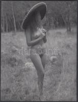 cca 1970 Egyedül az erdőben, egy szalmakalap védelmében, finoman erotikus fénykép, 24x18 cm / cca 1970 Erotic photo, 24x18 cm