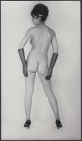 cca 1970 Csak kesztyűben vállalom! Finoman erotikus fénykép, 24x14 cm / cca 1970 Erotic photo, 24x14 cm