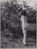 cca 1970 Kint a kertben, finoman erotikus fénykép, 24x18  cm / cca 1970 Erotic photo, 24x18 cm