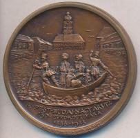 Lapis András (1942-) 1988. "Wesselényi Miklós, az árvízi hajós - A pest-budai nagy árvíz 150. é...