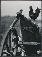 cca 1970 Gebhardt György (1910-1993): Magaslesen, jelzés nélküli fotóművészeti alkotás a szerző hagyatékából, 24x18 cm