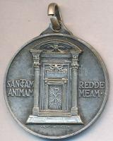 Vatikán 1950. "XII. Pius - Jubielumi év" ezüstözött fém medál (25mm) T:2
Vatican 1950. &qu...