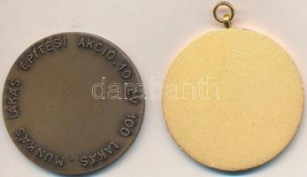 ~1970. "Észak-Bács-Kiskun Megyei Vízmű Vállalat Kecskemét" (2x) Br emlékérmek, egyik arany...