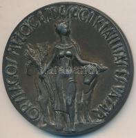 Kiss Kovács Gyula (1922-1984) 1959. "Országos Mezőgazdasági Kiállítás és Vásár" fém emléké...