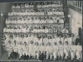 cca 1960 A Semmelweis Orvostudományi Egyetem tanárai (az első sorban) és hallgatói, néhány név hátul felsorolva, több hajtásnyom a képen, 17x23 cm