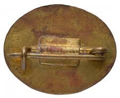 ~1970. "Görgős Eke Csataszög" zománcozott fém jelvény T:2