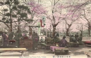 Tokyo, Cherry blossom at Uyeno park