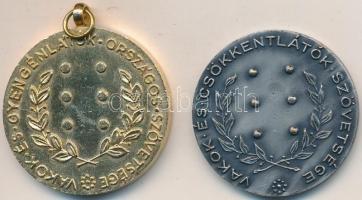 Halmágyi István (1897-1987) 1959. "Louis Braille Emlékérem 1809-1959 / Vakok és Csökkentlátók S...