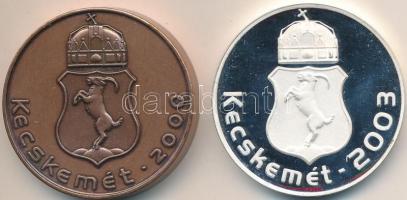 2000. "A Hírös-Ép Kft. 10 éves évfordulója / Kecskemét 2000" Br piefort emlékérem dísztokb...
